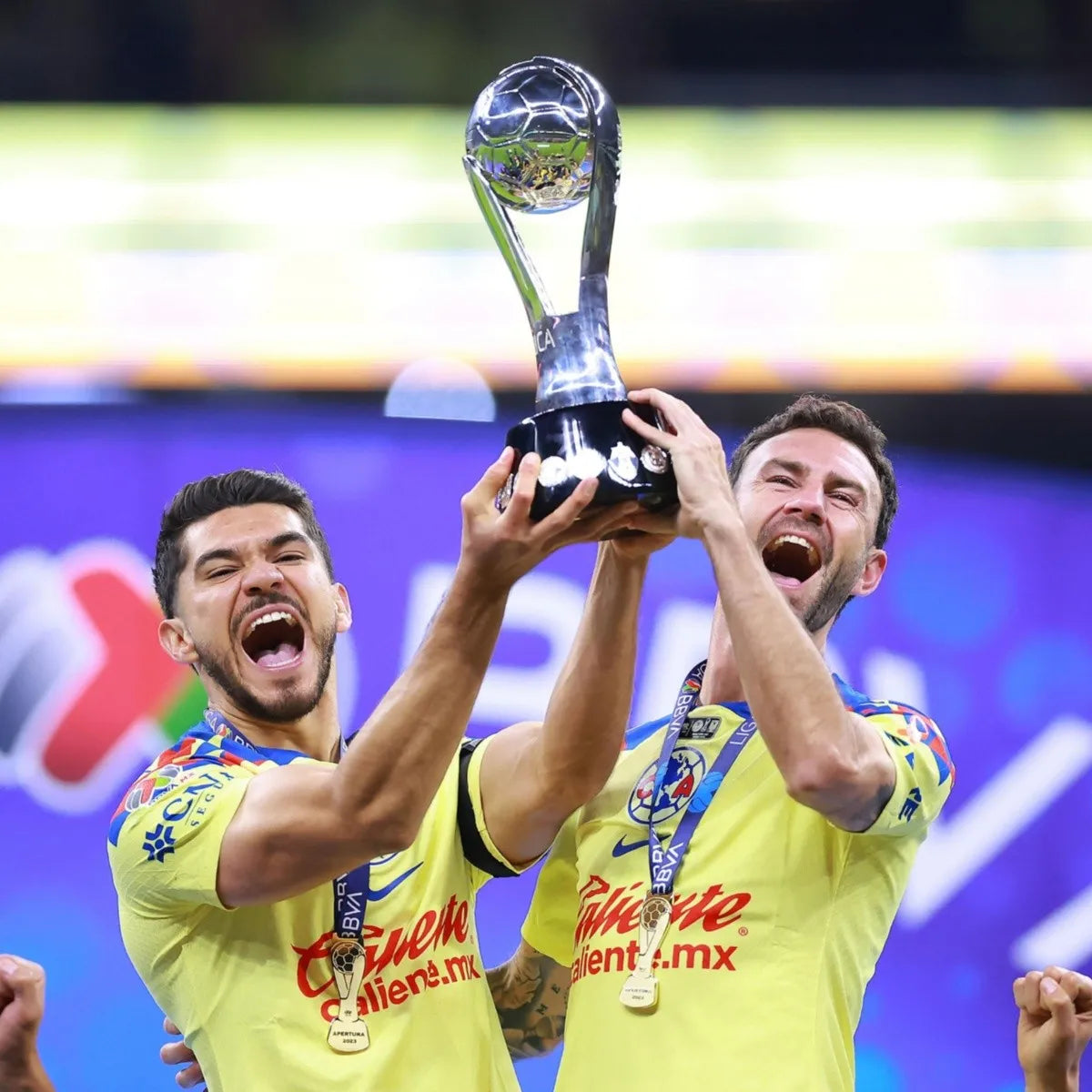 Playera LA 14 "LIGA MX"